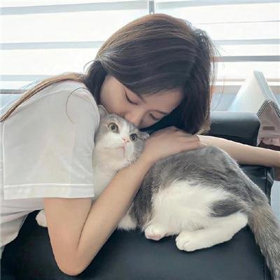 越狱第二季 在线观看