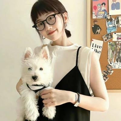 离奇伪术家 在线观看